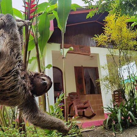 Cabinas Tito Cahuita Dış mekan fotoğraf
