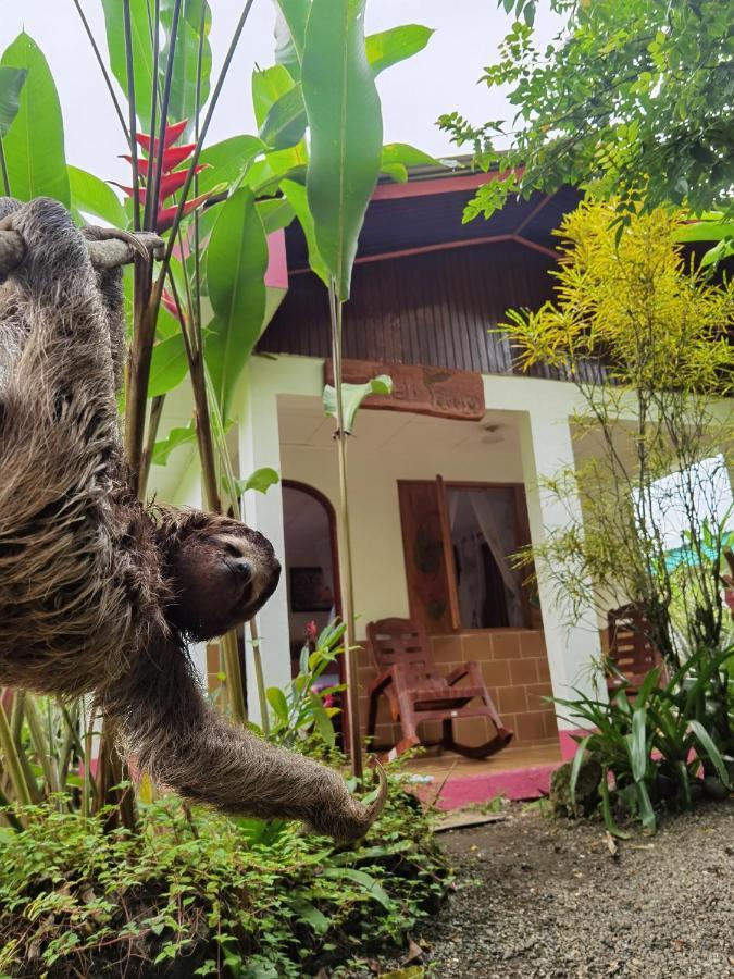 Cabinas Tito Cahuita Dış mekan fotoğraf